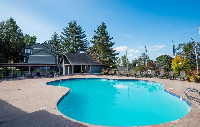 Crown Court Pool #1 & Lounge Chairs