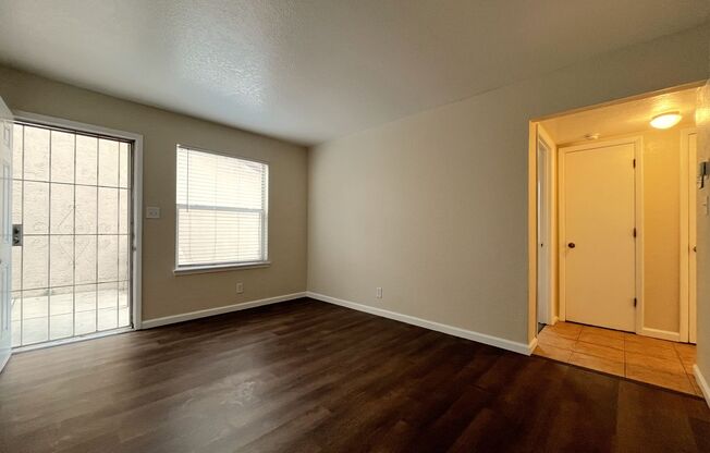 Candelaria (513) - The Nancy Jennings Center