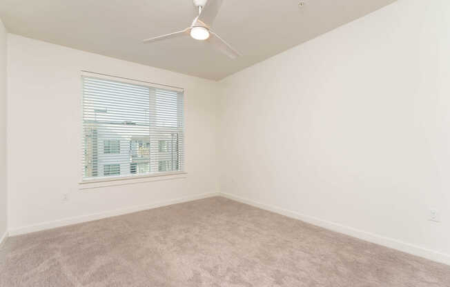 Carpeted Bedroom