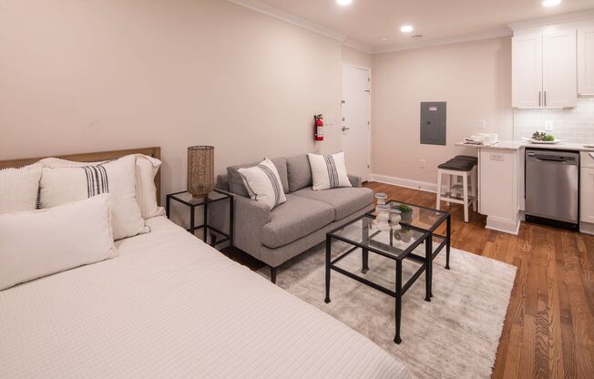 Studio, 1 bath, 380 sqft, $1,995, Unit 210