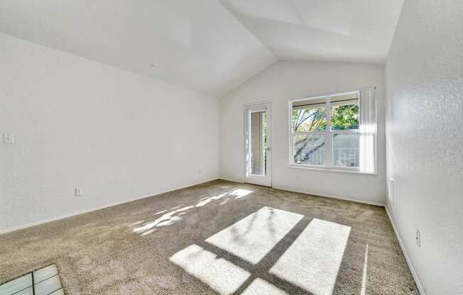 A sunny room with a rug and a window.