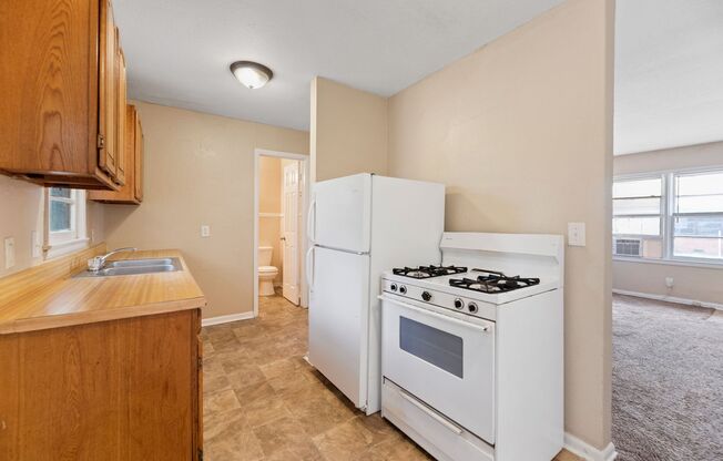 1 bed, 1 bath, 500 sqft, $565, Unit 1610