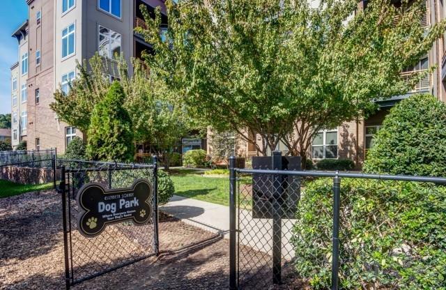 Dog Park at Elizabeth Square Apartments in Charlotte, NC 