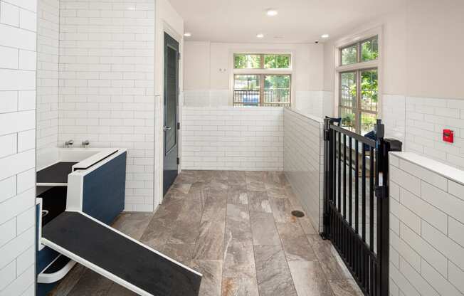 a pet spa for your fur friends