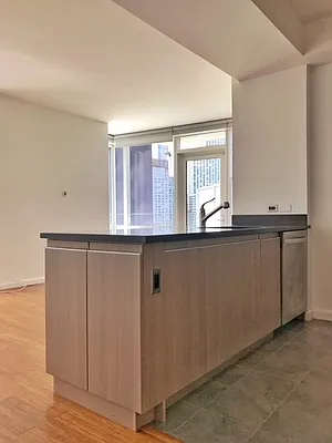 Studio, 1 bath, $4,300, Unit 22J