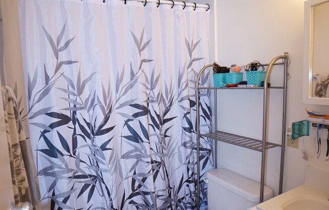 1 bed, 1 bath, $1,090, Unit 2C