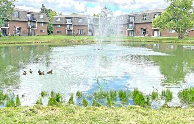 A fountain in the middle of a pond with ducks swimming in it.