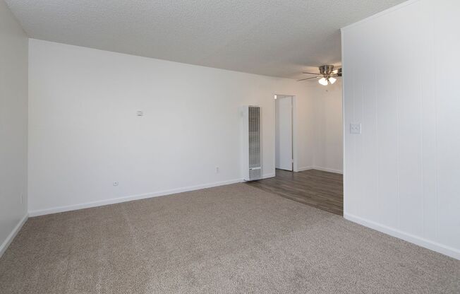 Trade Winds Apartments