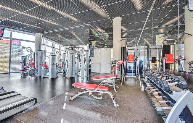 1 bed, 1 bath, $2,850