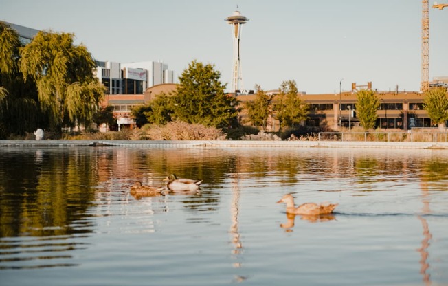 South Lake Union View of the Space Needle at Dexter Lake Union, Seattle, 98109