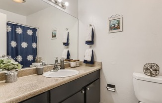 bathroom with large vanity area