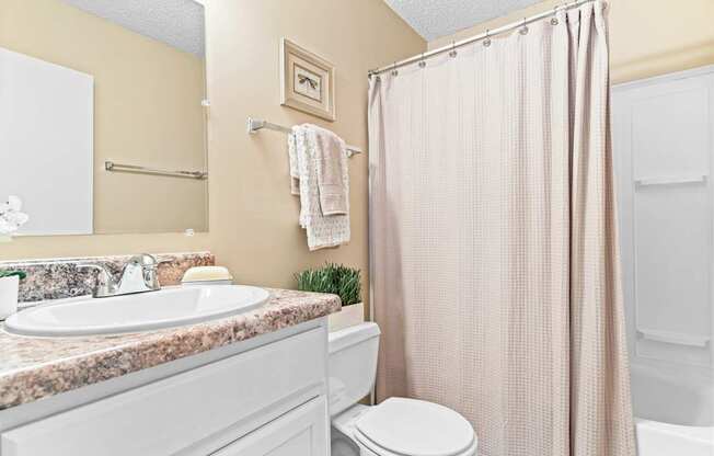 A bathroom with a toilet, sink, and shower curtain.