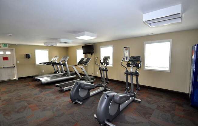 A gym with treadmills and elliptical machines.