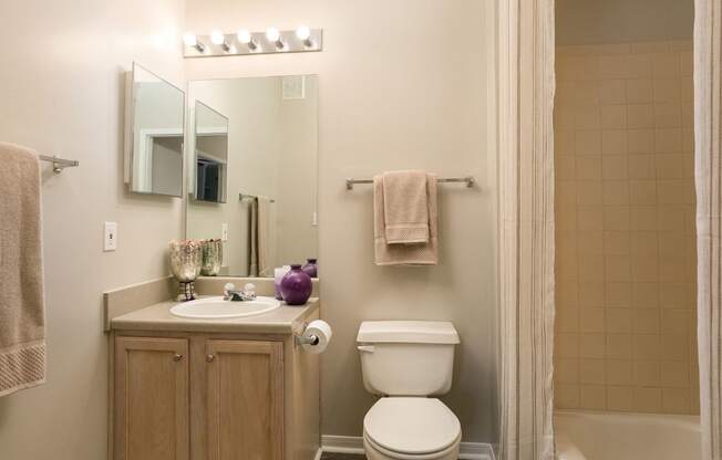 En-suite bathroom with wood floors at Village at Caldwell Mill Apartments in Birmingham, Alabama