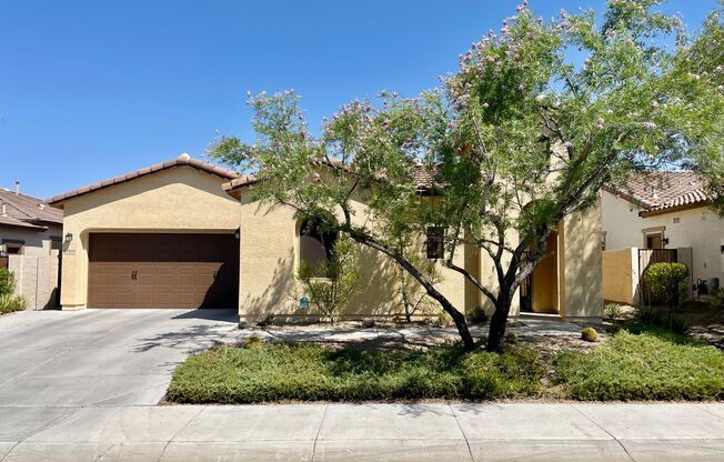 Beautiful 3 Bedroom/2 Bath Single Level Home in Estrella Mountain Ranch