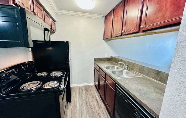 Studio, 1 bath, 500 sqft, $750, Unit 208