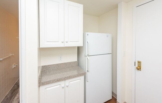 Studio, 1 bath, 368 sqft, $1,525, Unit 113