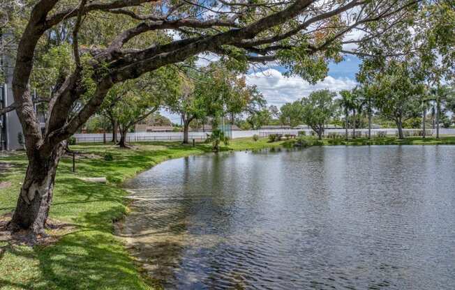 The Park at Murano Apartments in Fort Meyers, Florida Pond