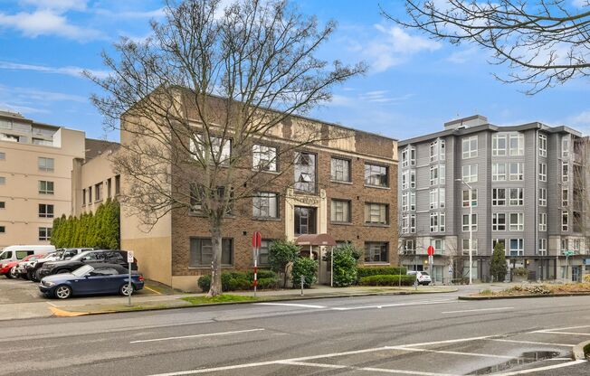 Studio, 1 bath, 429 sqft, $1,365, Unit Unit 310
