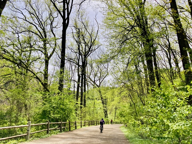 Forbidden Drive in Wissahickon Valley Park