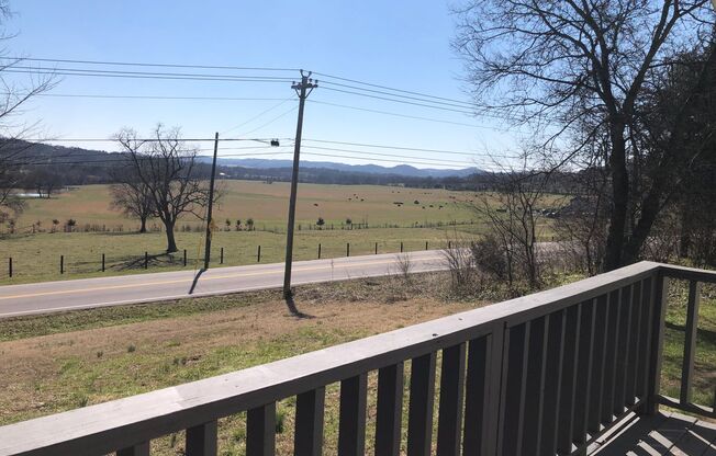 3 Bedroom cottage overlooking green space and forest