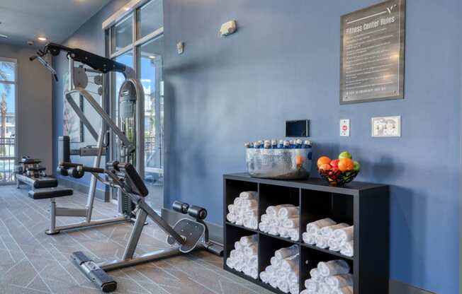 The Ridley apartments in Jacksonville, FL photo of fitness center