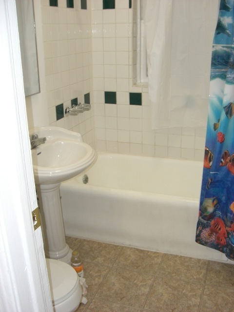 Studio, 1 bath, $1,495, Unit 102