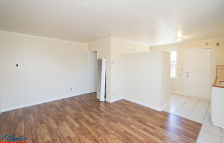 Studio, 1 bath, 350 sqft, $1,595, Unit 3