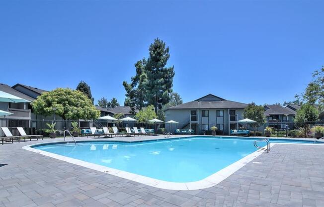 Apartments In Hayward, CA For Rent - The Dutton - Sparkling Swimming Pool With Umbrellas And Lounge Chairs