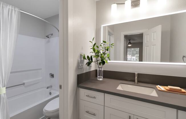 a bathroom with a sink and a mirror and a shower