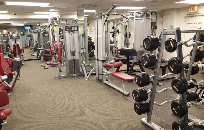 Studio, 1 bath, 500 sqft, $2,500, Unit 709