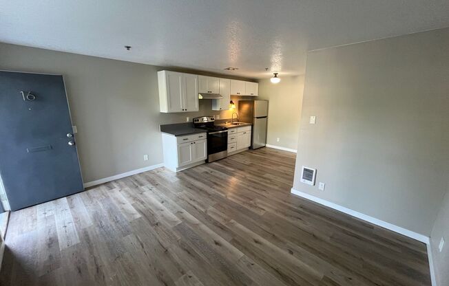 1 bed, 1 bath, 415 sqft, $1,295, Unit 16