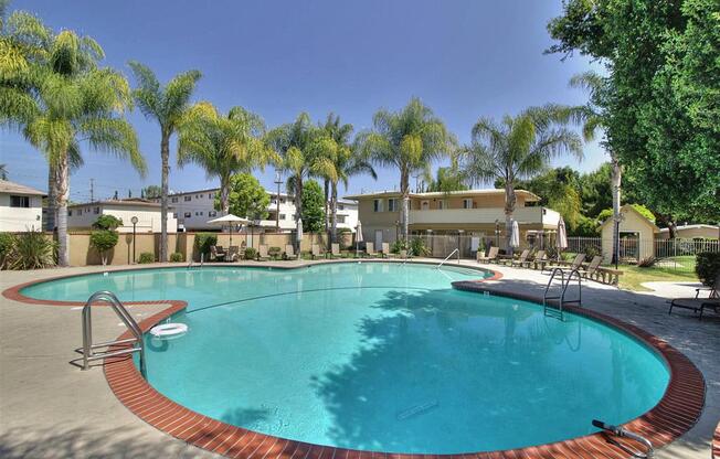 expansive swimming pool with palm trees at The Arbors at Mountain View, Mountain View, CA, 94040