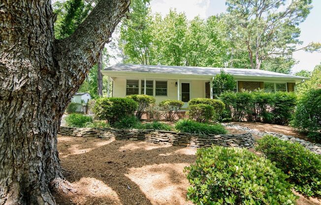 Available June 10! Sweet ranch home in North Hills Area with serene + fenced-in backyard!
