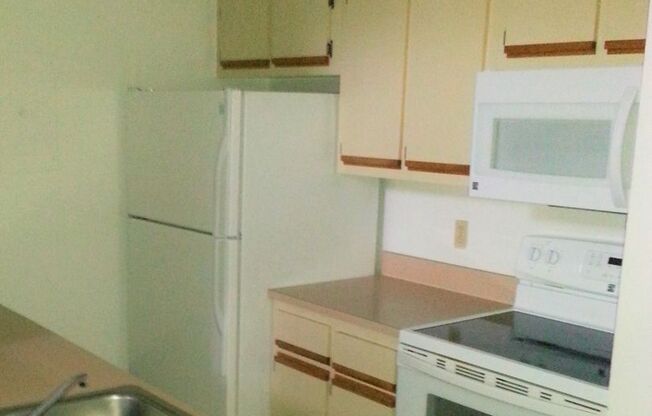 1 Bed/1 Bath Condo with LOFT, FIREPLACE, and BALCONY!