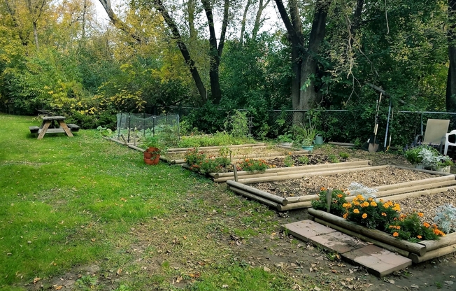 Studio, 1 bath, 494 sqft, $988, Unit 99-200