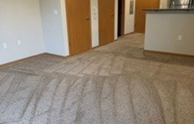Studio, 1 bath, 524 sqft, $1,165, Unit 5001-313