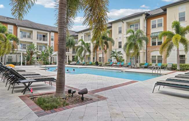 our apartments offer a swimming pool with palm trees