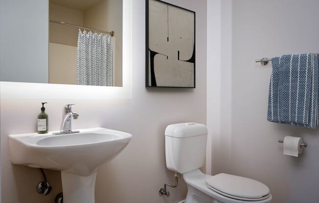 a bathroom with a sink and a toilet and a mirror