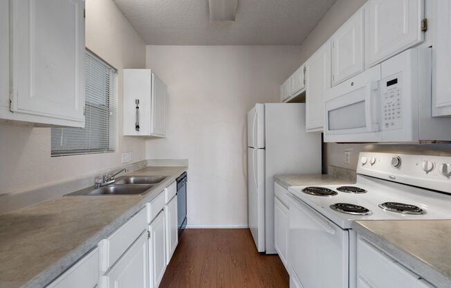 1 bed, 1 bath, 559 sqft, $775, Unit 1