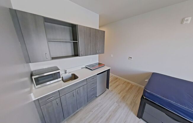 Studio, 1 bath, 261 sqft, $950, Unit 502
