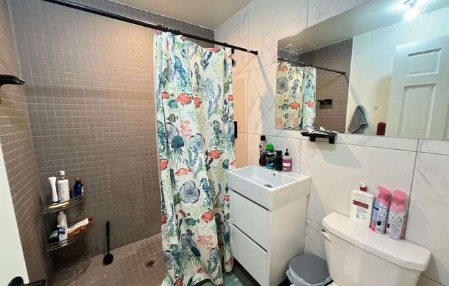 3 beds, 2 baths, 736 sqft, $2,895, Unit 2