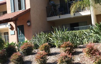 1 Bed/1Bath Condo in Carlsbad!! ~Hosp Way #156