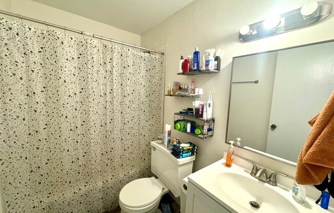 1 bed, 1 bath, $1,095, Unit 101