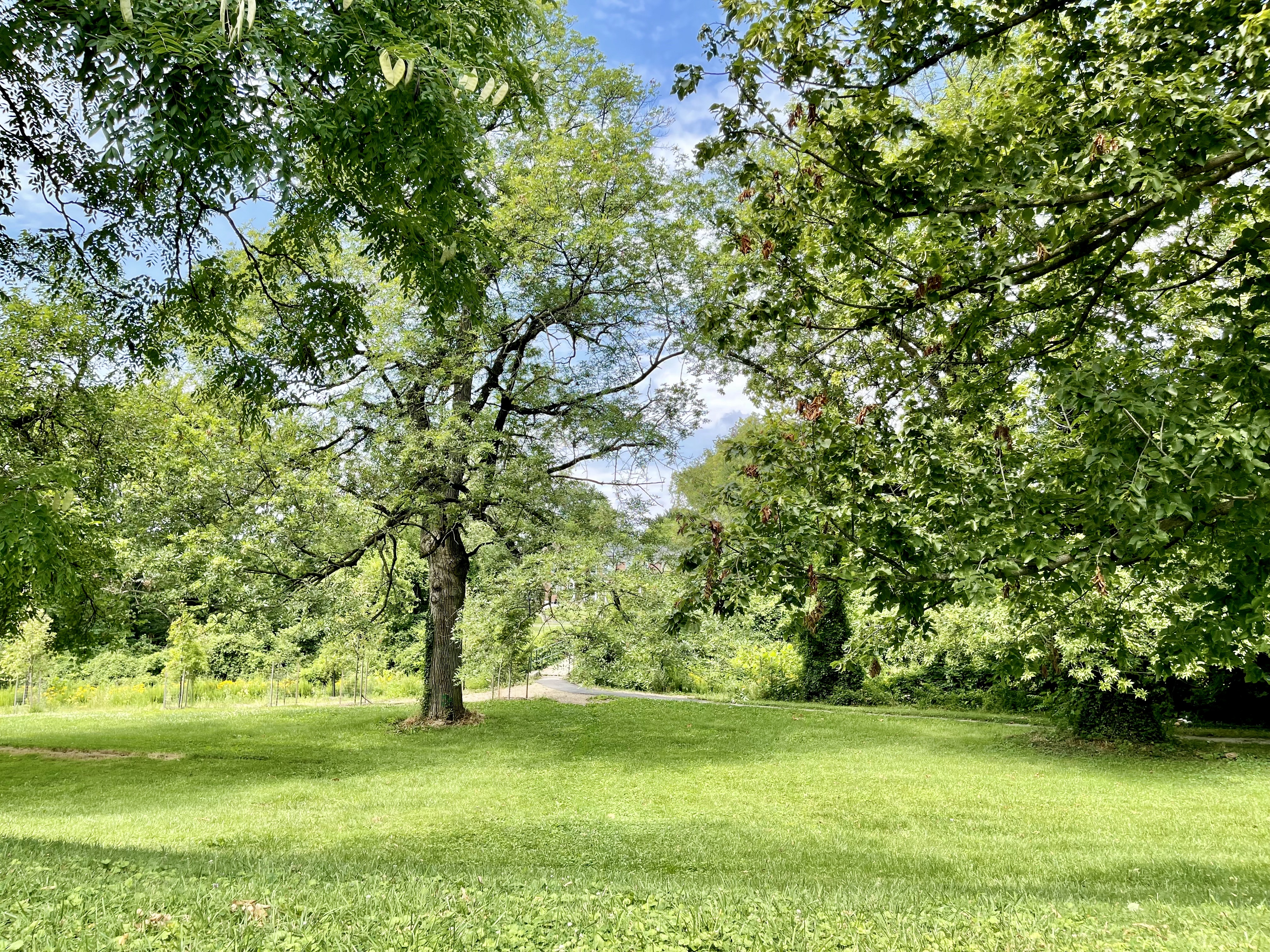 Chinquapin Run Park