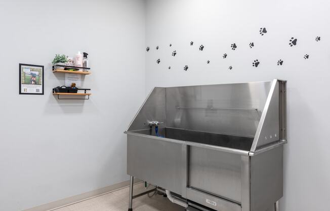 Hibernia pet spa with large pet grooming station