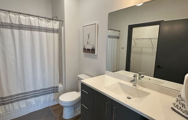 Studio, 1 bath, 400 sqft, $1,565, Unit 126 - Furnished