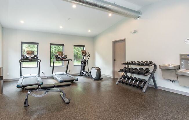 Treadmills Free Weights