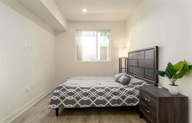 1 bed, 1 bath, 590 sqft, $2,245, Unit 317