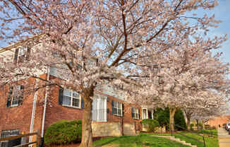 Kingsley Commons Townhouses Property Units